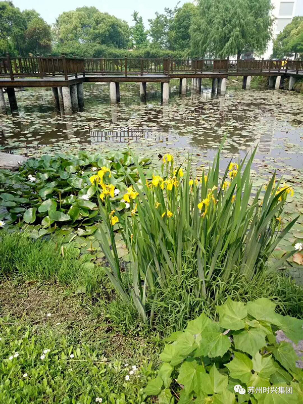 bY3ihWR3R0-kizoBcxPFiw